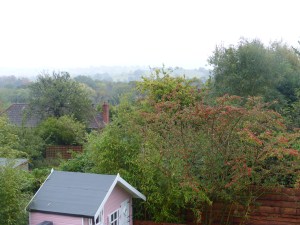 View from the back window