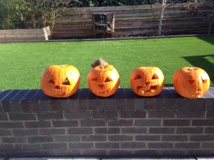 The finished articles! I thought one had a hair piece (but on closer inspection it's the boy standing behind it!!)