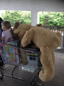 Teddy and trolley