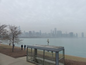 The Chicago skyline