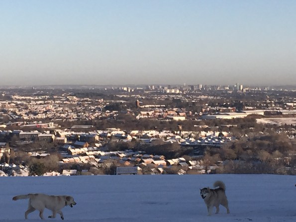 Snowy Birmingham skyline