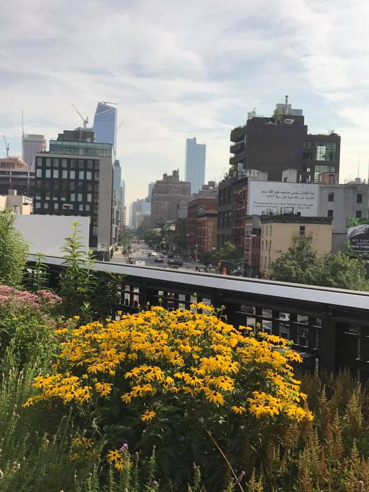 20229148_10155667539954363_7126519309717658591_n