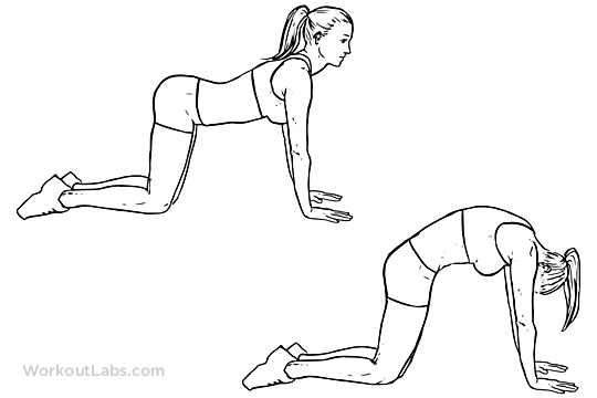 Cat_Back_Stretches1